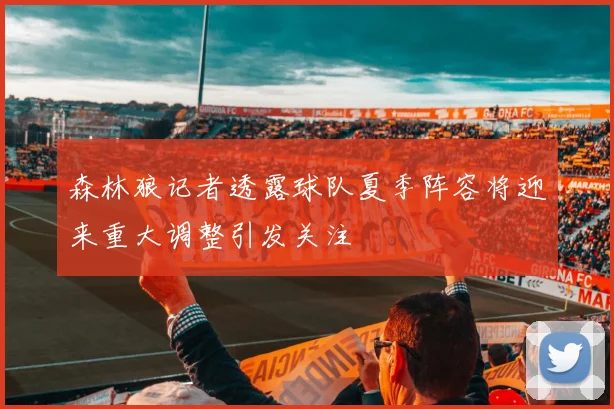 森林狼记者透露球队夏季阵容将迎来重大调整引发关注